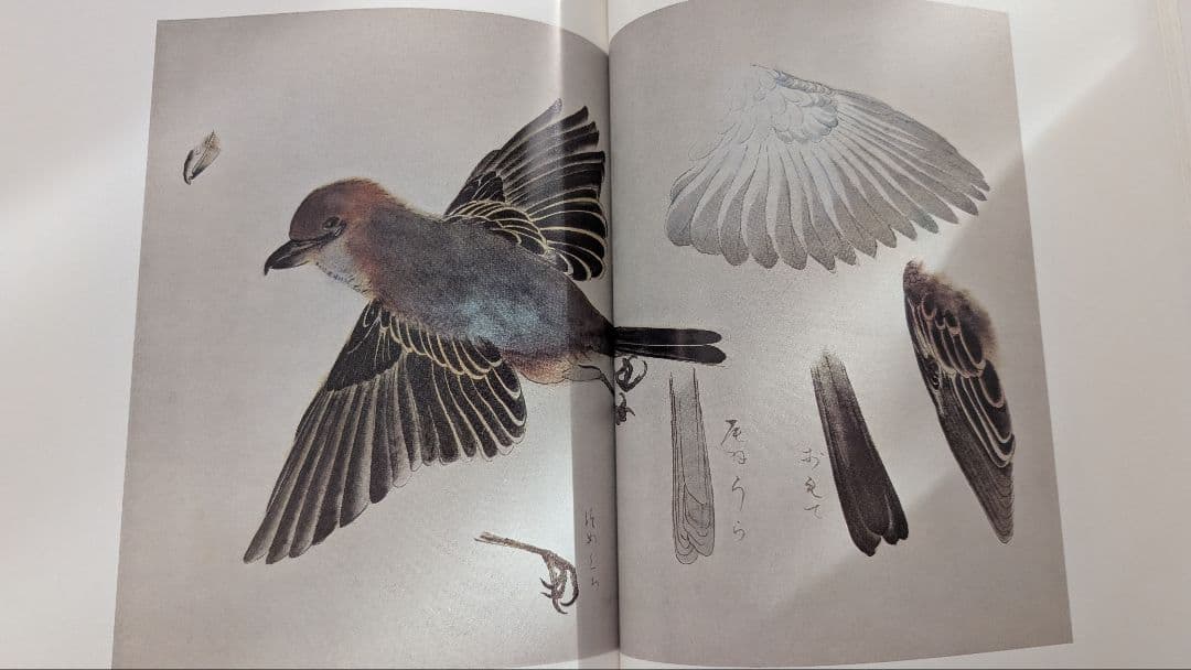 【４５年前に購入】　速水御舟 作品集