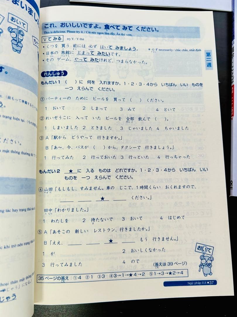 新品　日本語総まとめN1 N2 N3 N4 N5（ベトナム語・英語版） 18冊