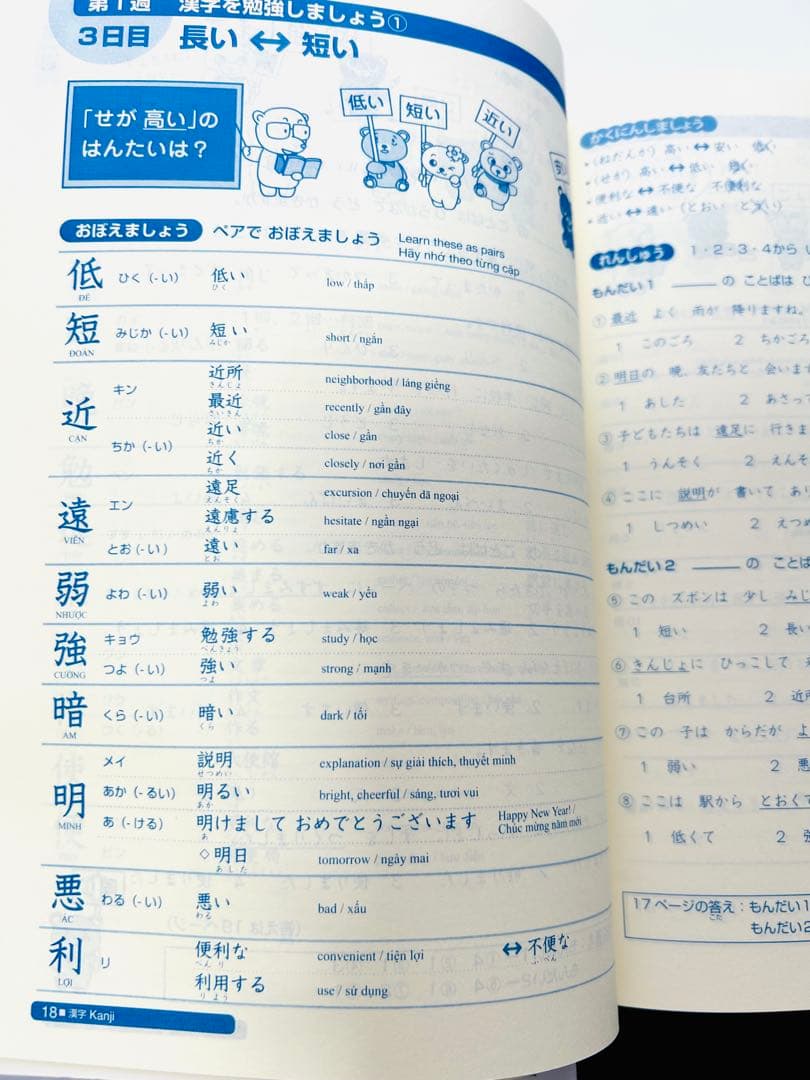 新品　日本語総まとめN1 N2 N3 N4 N5（ベトナム語・英語版） 18冊
