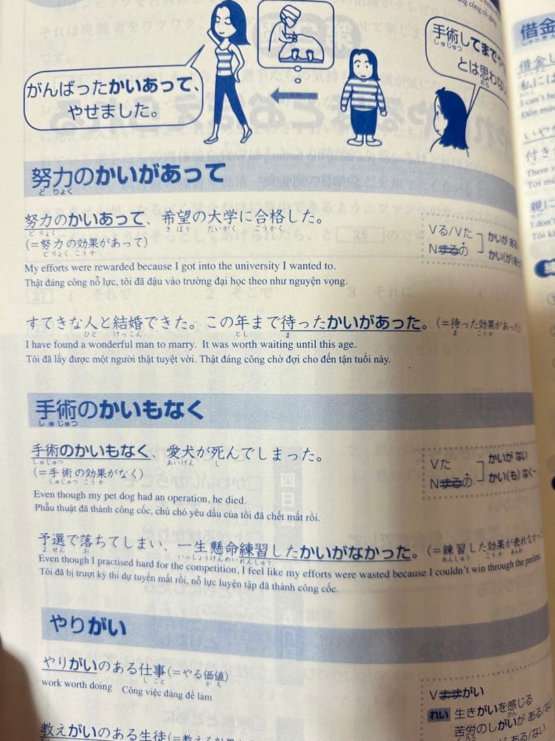 新品　日本語総まとめN1 N2 N3 N4 N5（ベトナム語・英語版） 18冊