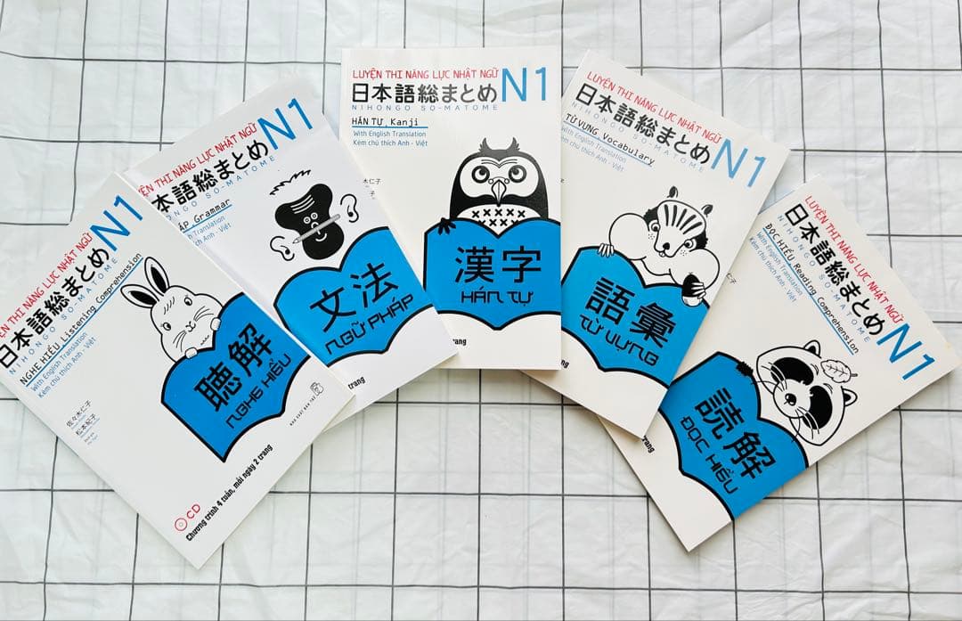新品　日本語総まとめN1 N2 N3 N4 N5（ベトナム語・英語版） 18冊