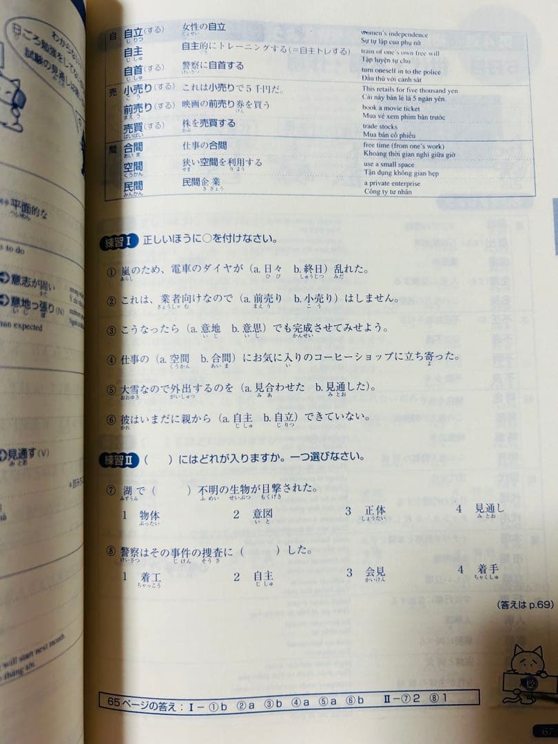 新品　日本語総まとめN1 N2 N3 N4 N5（ベトナム語・英語版） 18冊