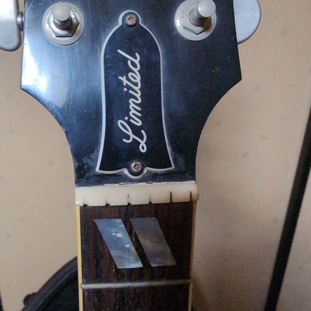 Gibson dove Limited アコースティックギター