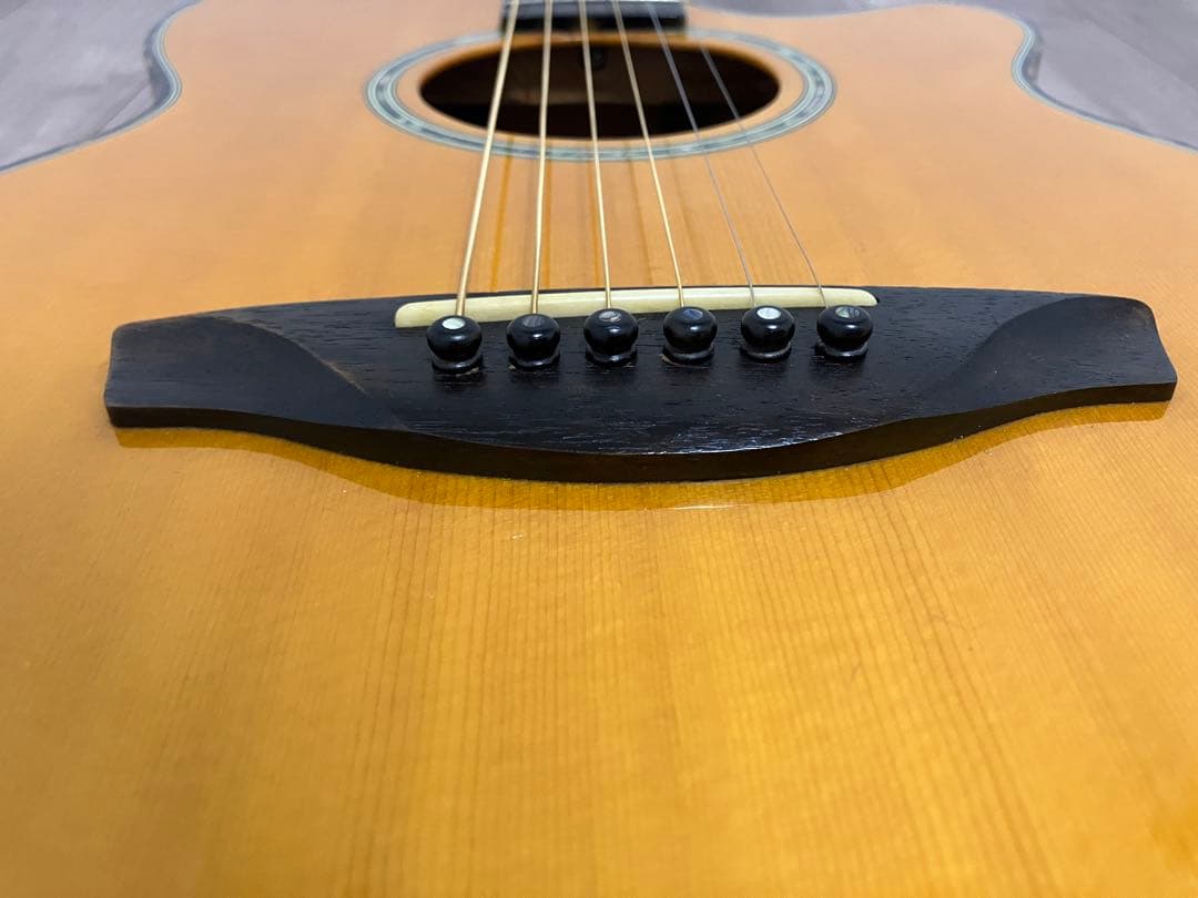 Headway エレアコTF-1000 トップスプルース　レア　ハードケース有