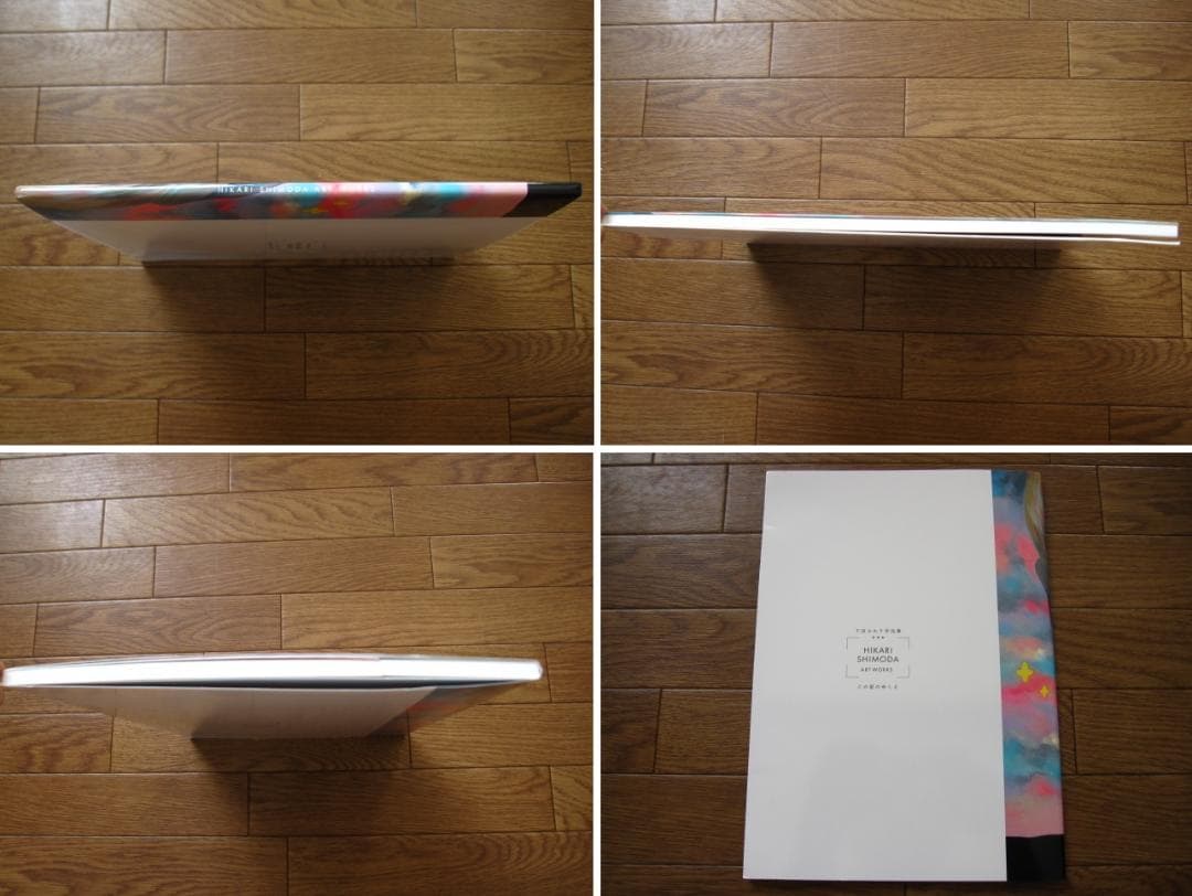 HIKARI SHIMODA ART WORKS この星のゆくえ　下田ひかり