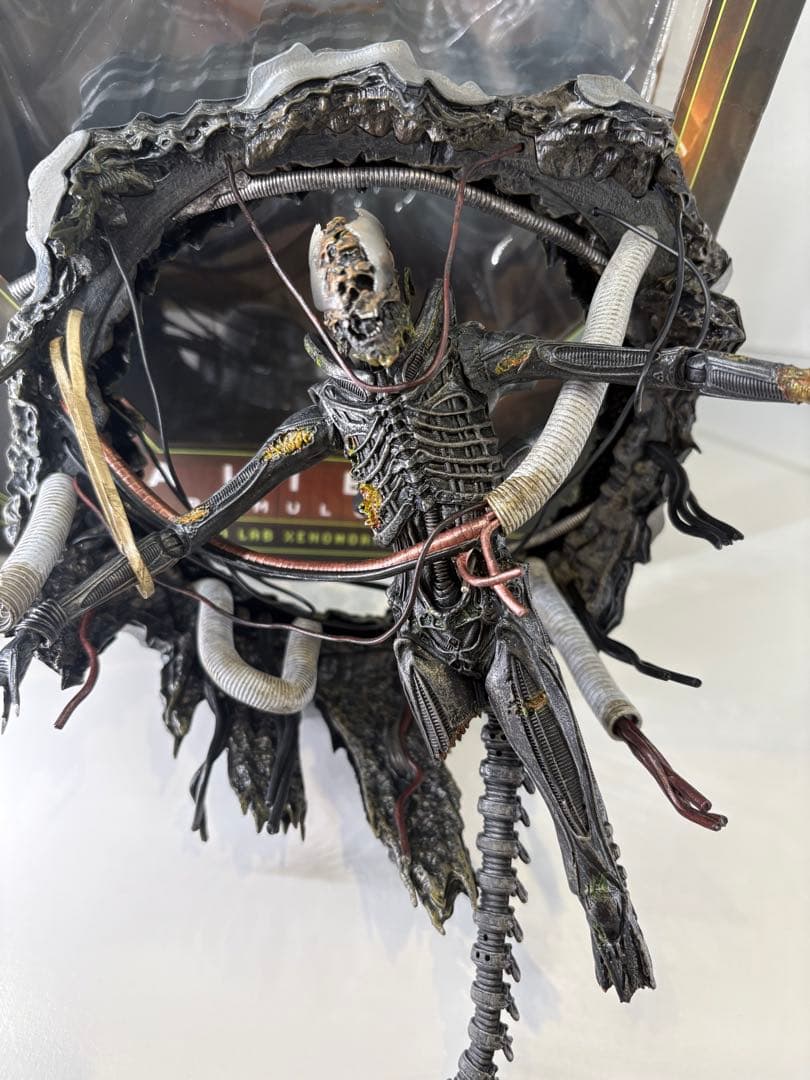 ネカ　エイリアン　ロムルス　サスペンデッド　ラボ　ゼノモーフ