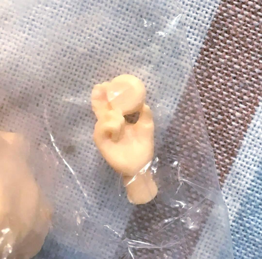 当時モノ B-Club 1/12 スケバン刑事III 麻宮サキ ガレージキット