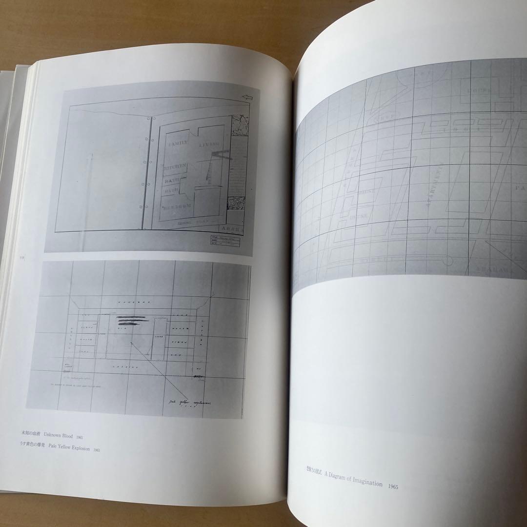 ARAKAWA Shusaku 荒川修作の実験展　見るものが作られる場