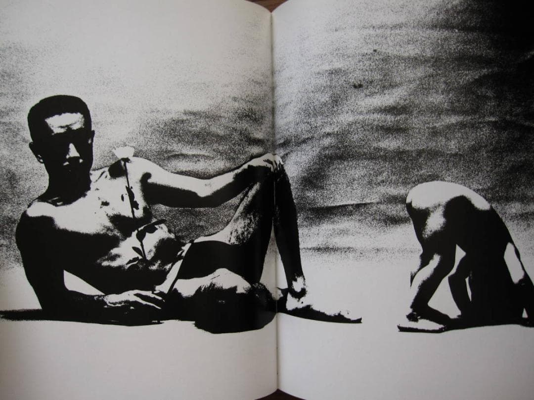 薔薇刑 細江英公 三島由紀夫 初版 帯付き