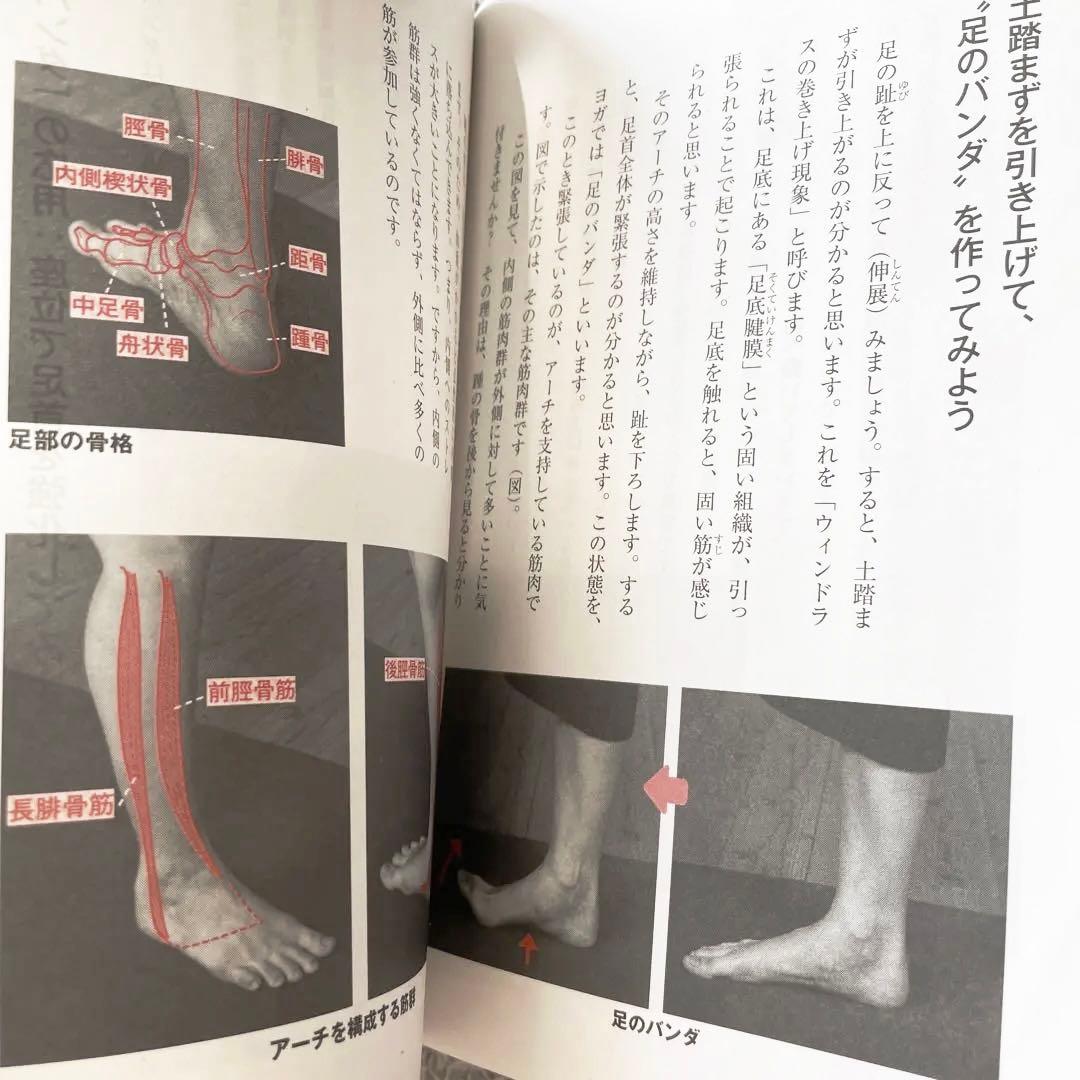 アナトミーフォーヨガ　ヨーガ　YOGA　DVD　体感して学ぶヨガの解剖学