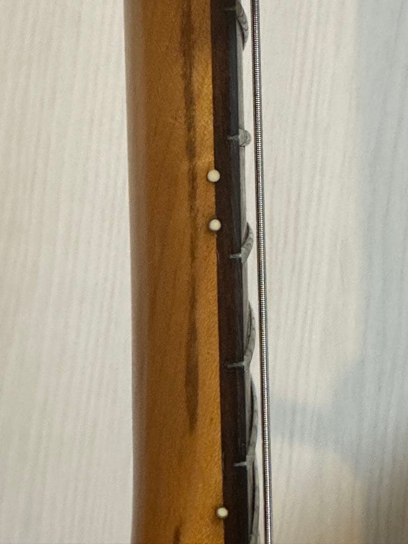 (ジャンク)FERNANDES JG ジャガー