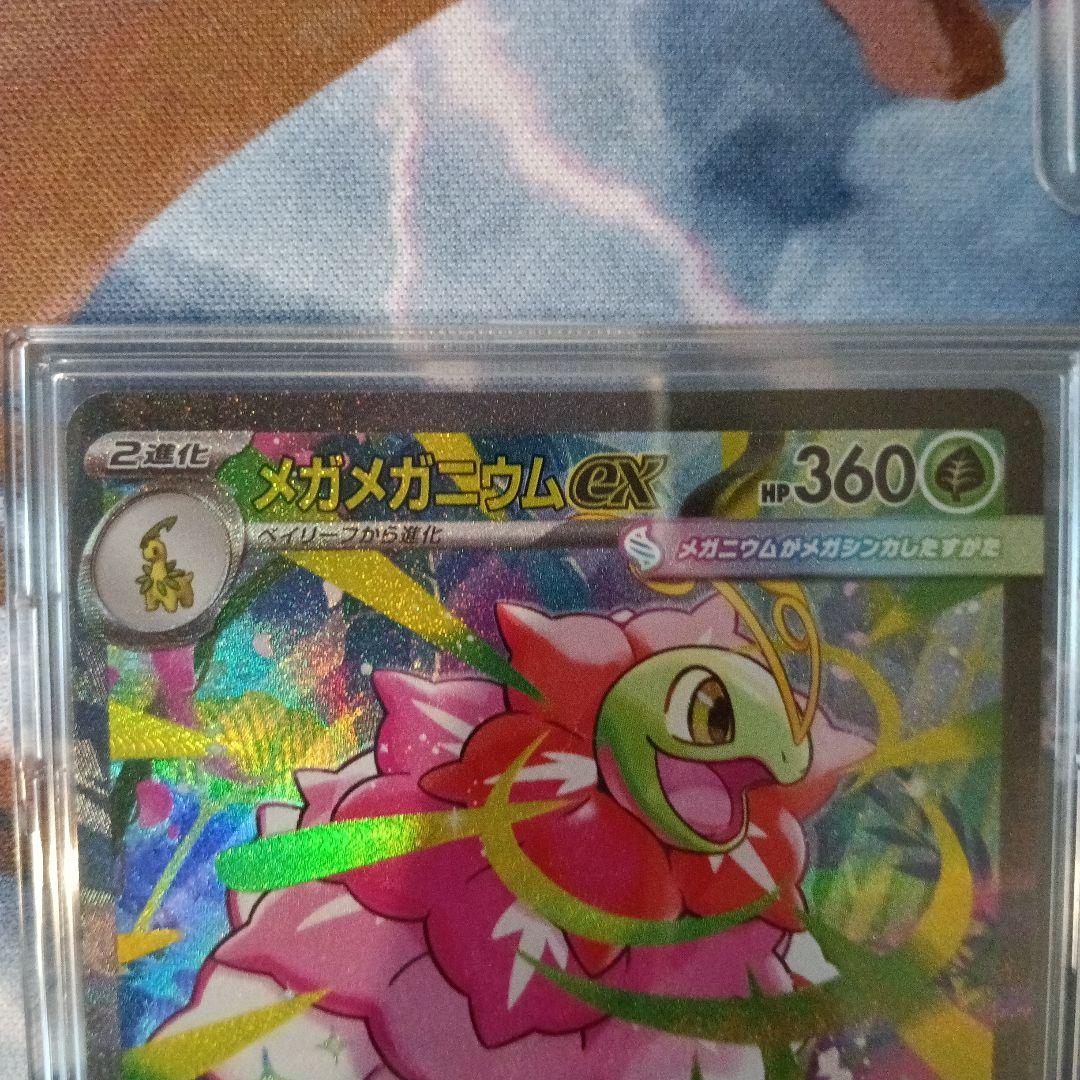 ポケモンカードデッキ 101/100 EXカード3枚