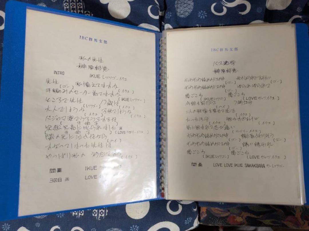 【貴重】榊原郁恵　パンフレット　グッズ　ブロマイド