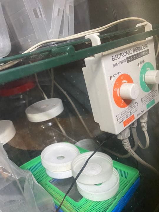 昆虫ブリードセット一式