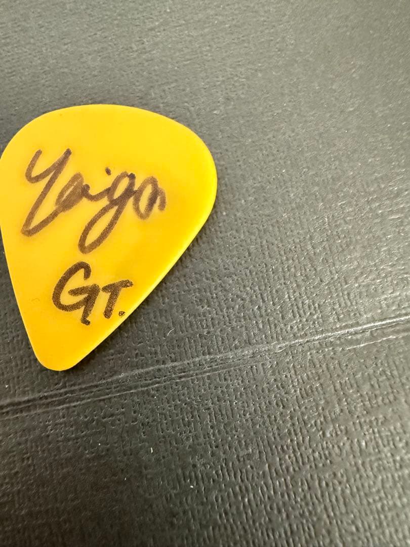 シンガーズハイ　ほりたいが　サイン入りギターピック