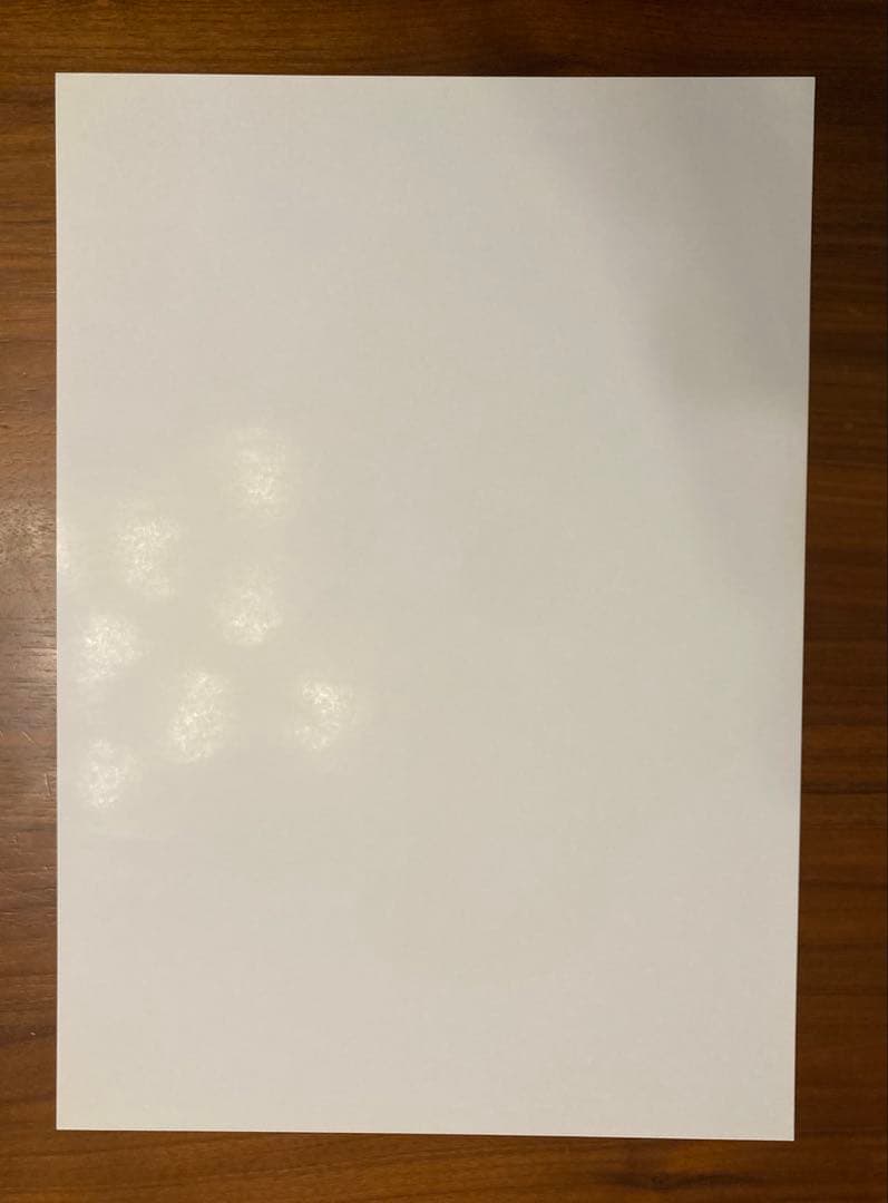 クローズ×WORST 武田好誠 B4 ポスター レグルス限定 非売品