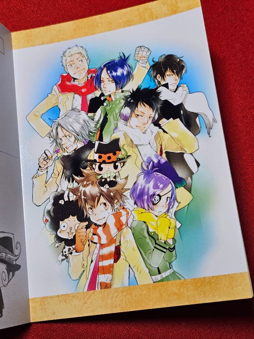 【希少】リボーン　ポストカードブック