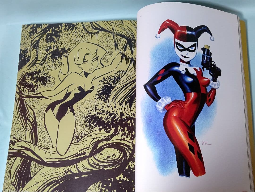 ブルース・ティム 画集 Naughty And Niece 初版本