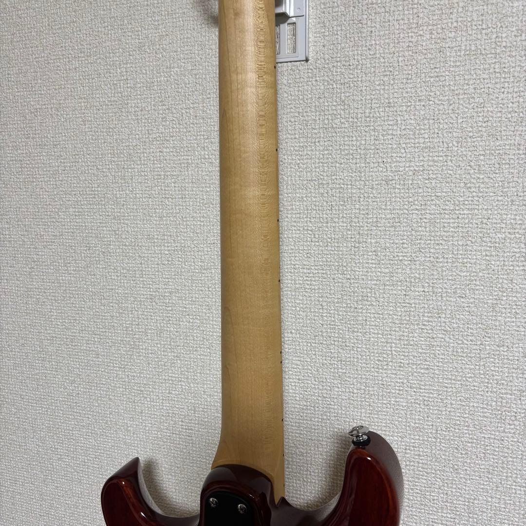 PRS SE Swamp Ash Special 3.5kg良個体2023年製