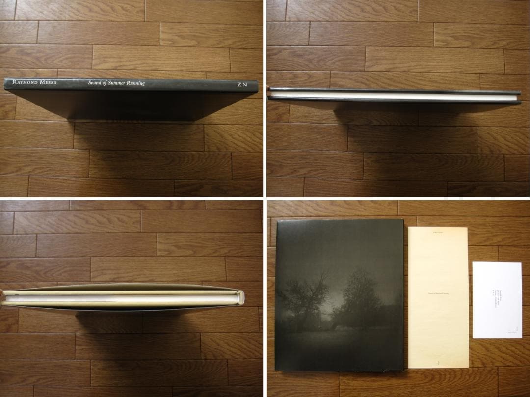 Sound of Summer Running　Raymond Meeks