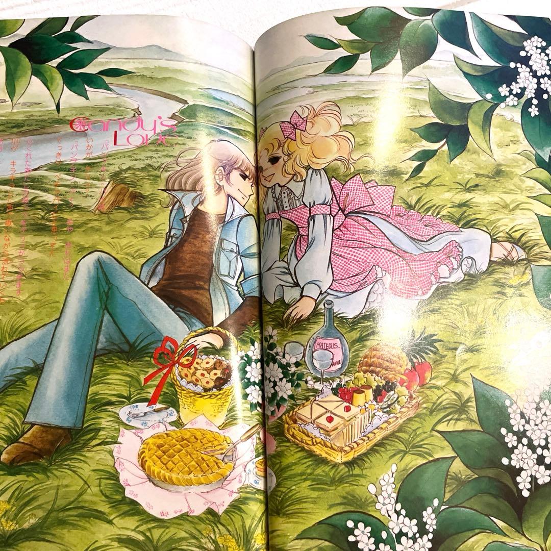 【貴重！初版本】キャンディ♡キャンディ 愛蔵版 全2巻 ＆ イラスト集