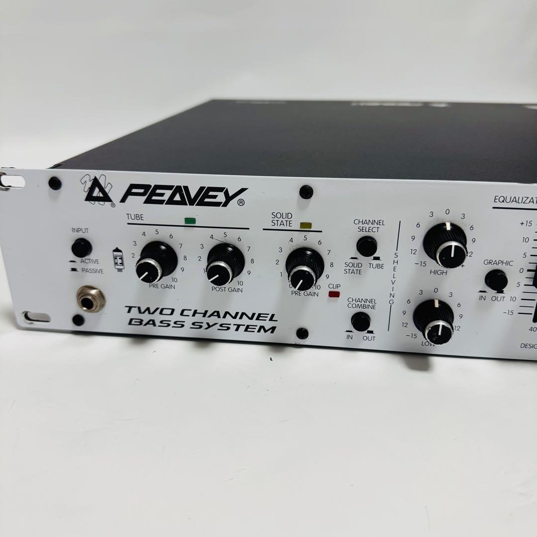 ベース PEAVEY T-MAX TWO CHANNEL BASS SYSTEM