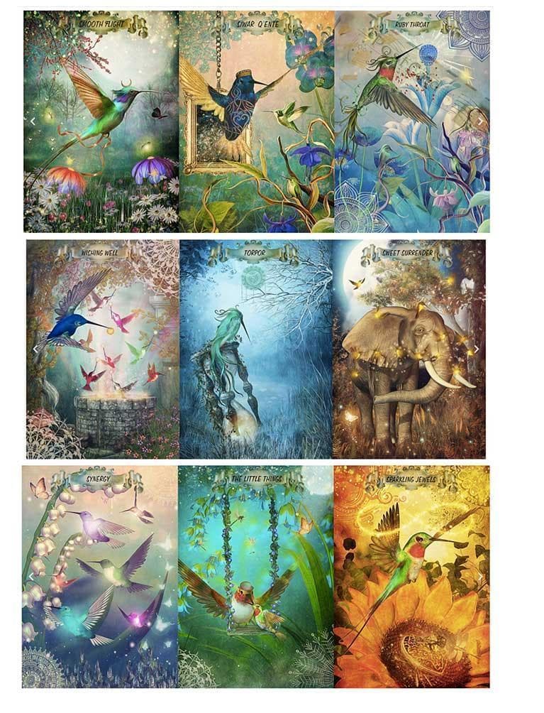 ★正規品オラクルカード★神秘的な世界観✨海外入手困難品✨美しい鳥達のデッキ