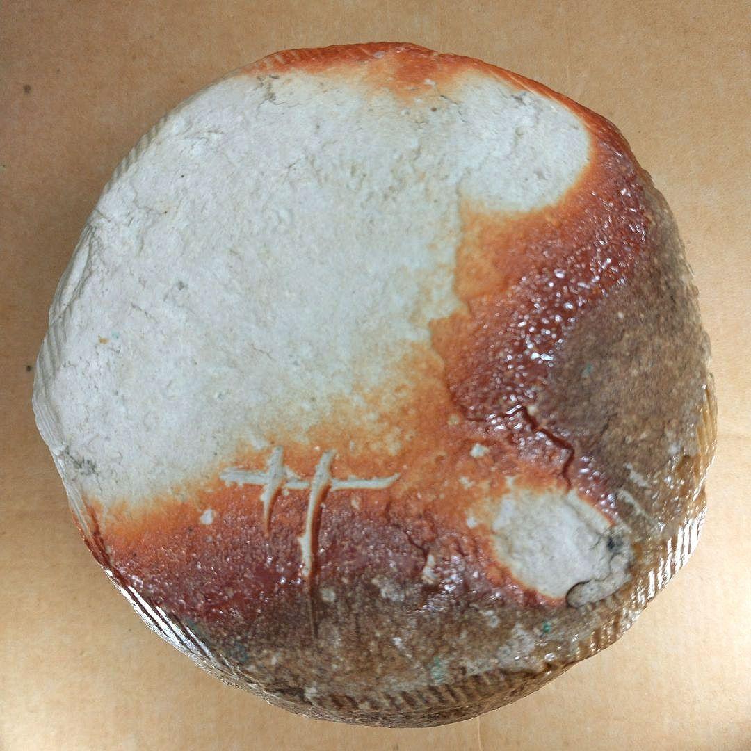 杉本貞光 信楽掛花入(信楽蹲壷）裏千家十五代 鵬雲斎 書付 共箱 寺垣外窯 美品