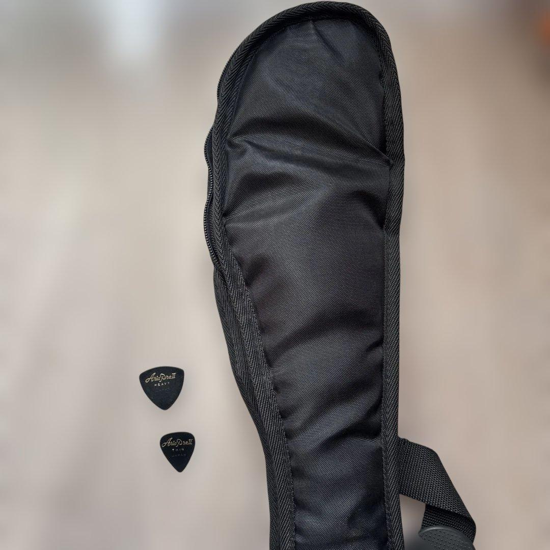 しろごまフェルナンデス リッケン型 John Lennon RG80