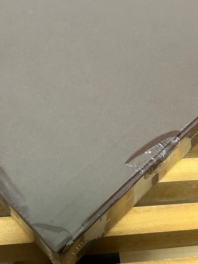 レア ブラウンバニー Brown Bunny映画 DVD ヴィンセント ギャロ