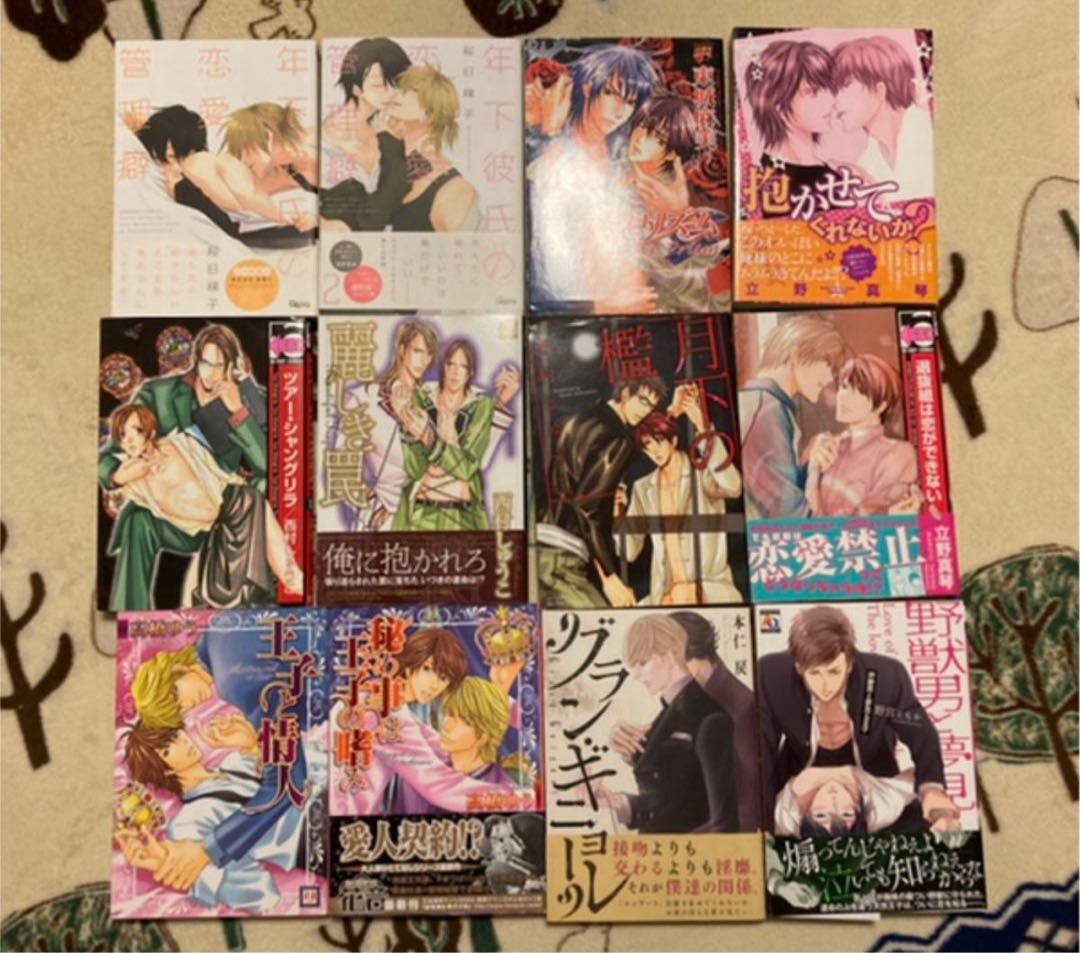 BL漫画 24冊 まとめ売り 鹿乃しうこ 新田祐克 菊の助