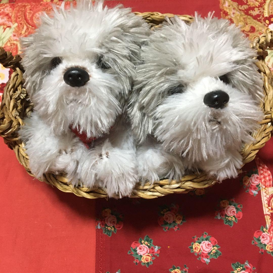 ぬいぐるみ　犬　モフモフ　子犬　クタクタ犬　シーズー　犬　わんちゃんペア