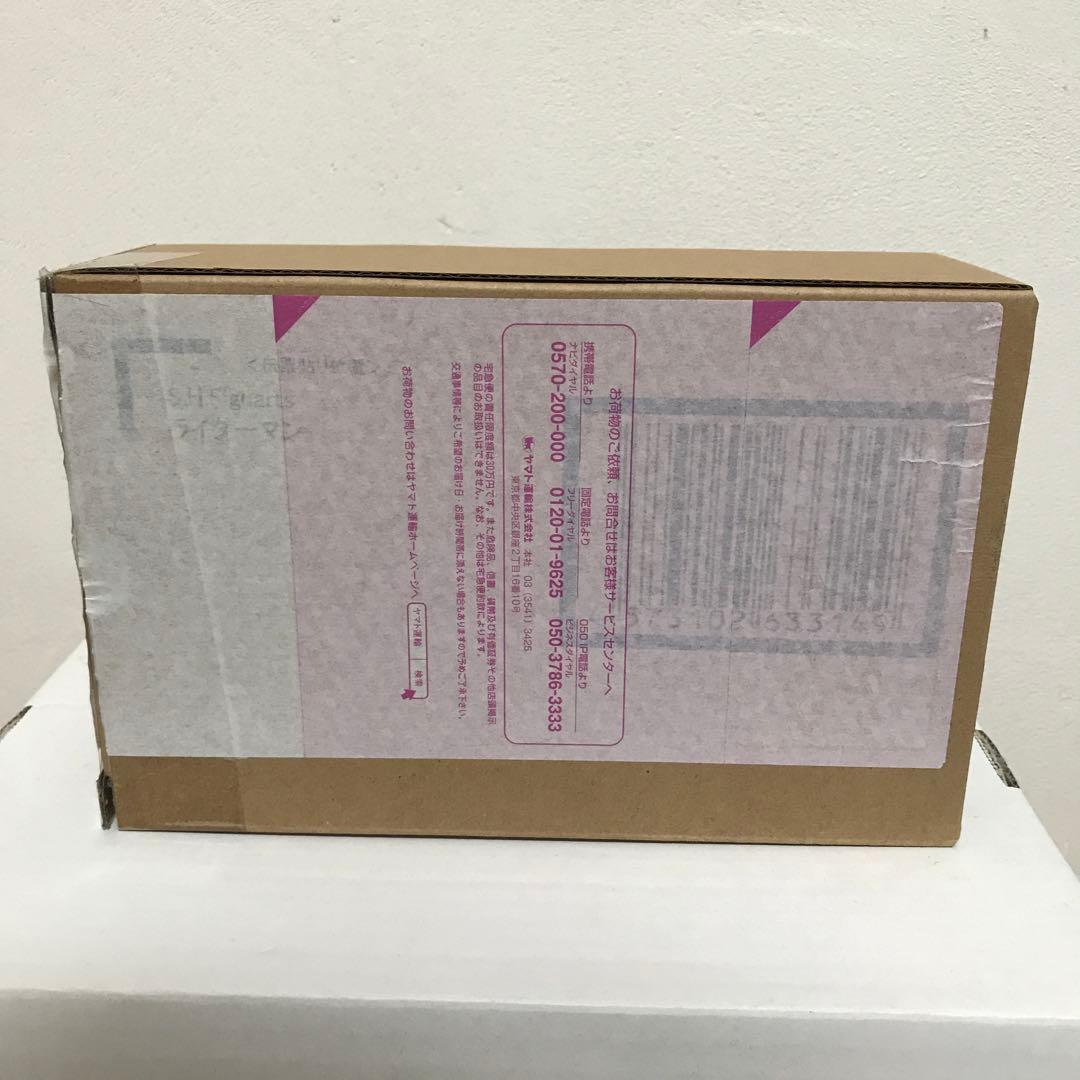 S.H.Figuarts 真骨彫 ライダーマン