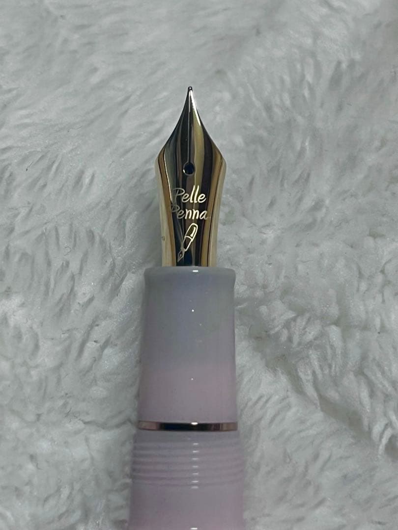 限定 新品未使用 セーラー万年筆 ペレペンナ 10周年記念 万年筆 結桜 ニブF