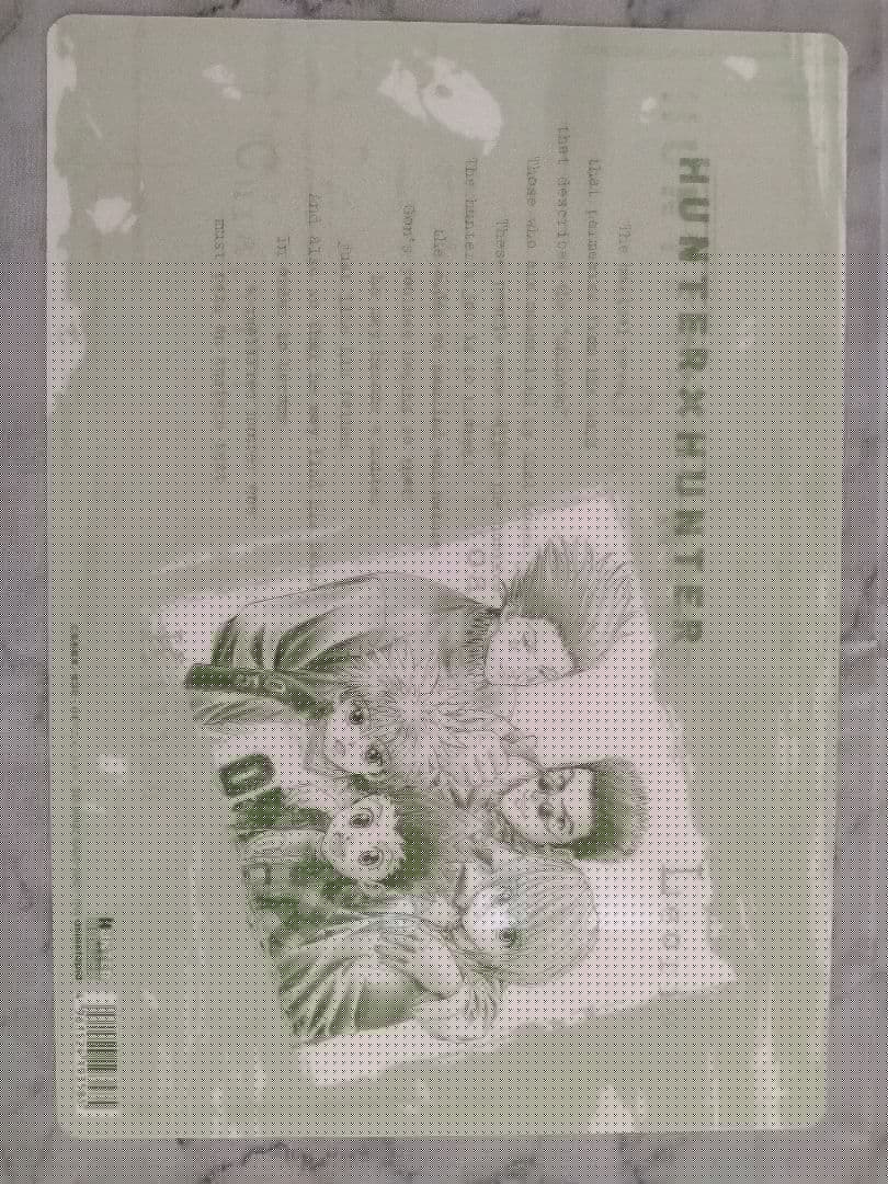 未使用品　HUNTER×HUNTER 下敷き