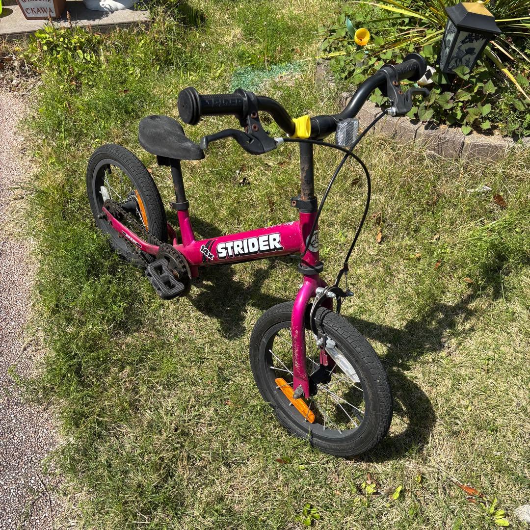 自転車本体 Exotic jungle