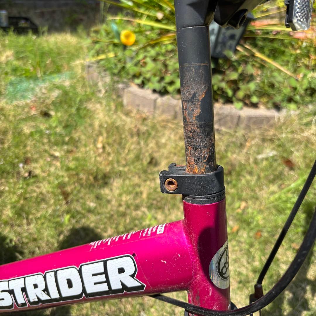 自転車本体 Exotic jungle