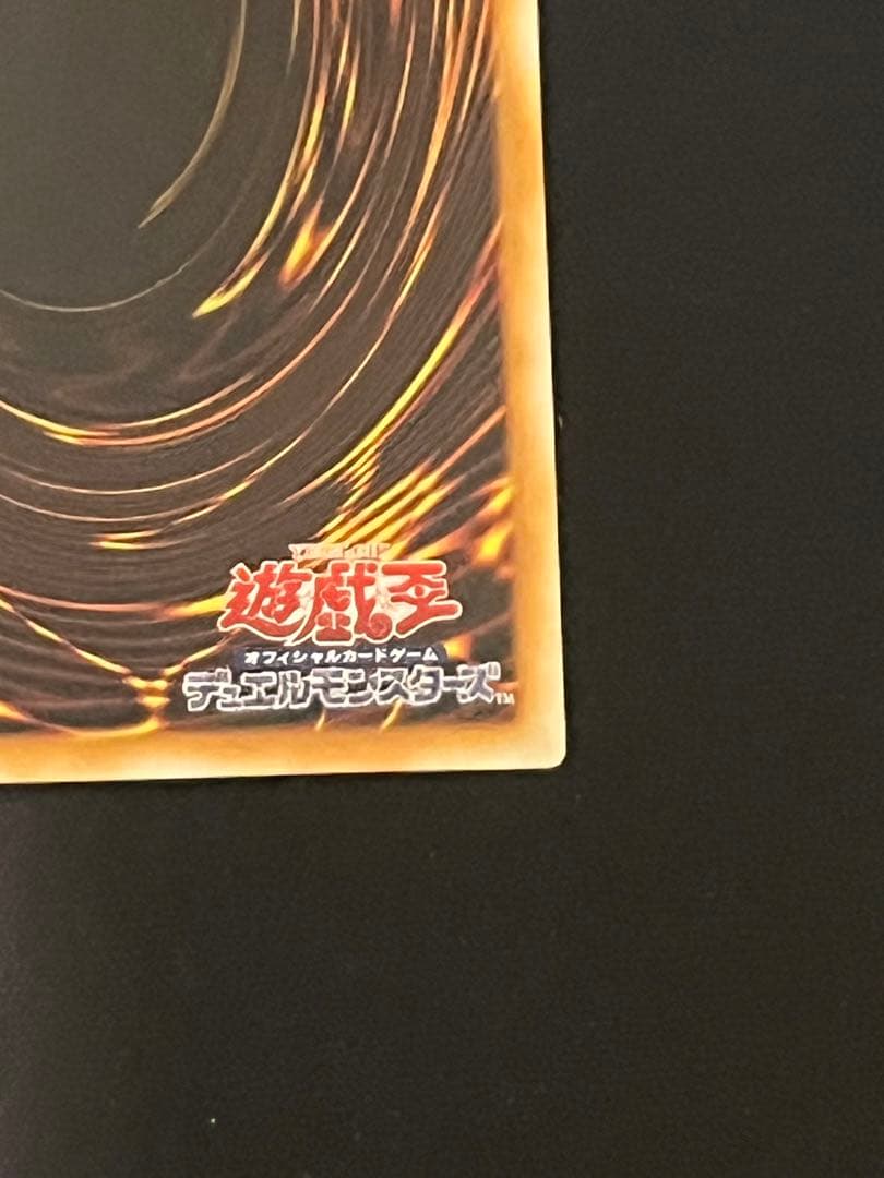 遊戯王　ブラック・ローズ・ドラゴン　ホロ