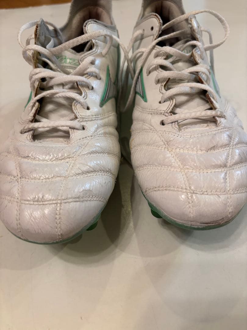 モレリアネオ　特注ミックス　サイズ27.5