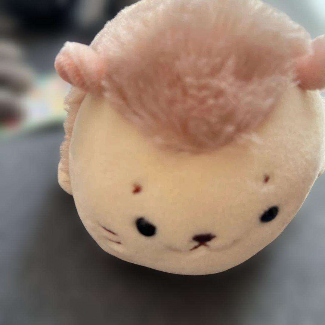 しろたん ぬいぐるみ まとめ売り(新品定価1.5万円程度)