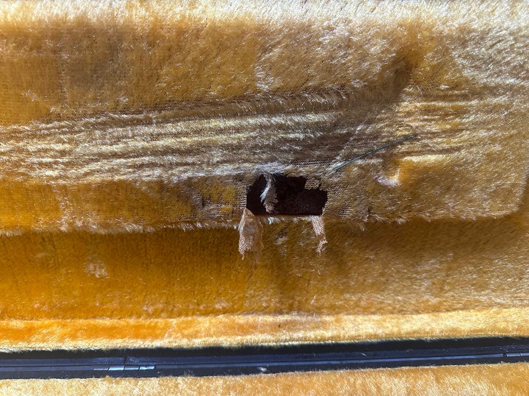 【希少】BlueBell フラットマンドリン F-16 小坂部氏サイン ジャンク