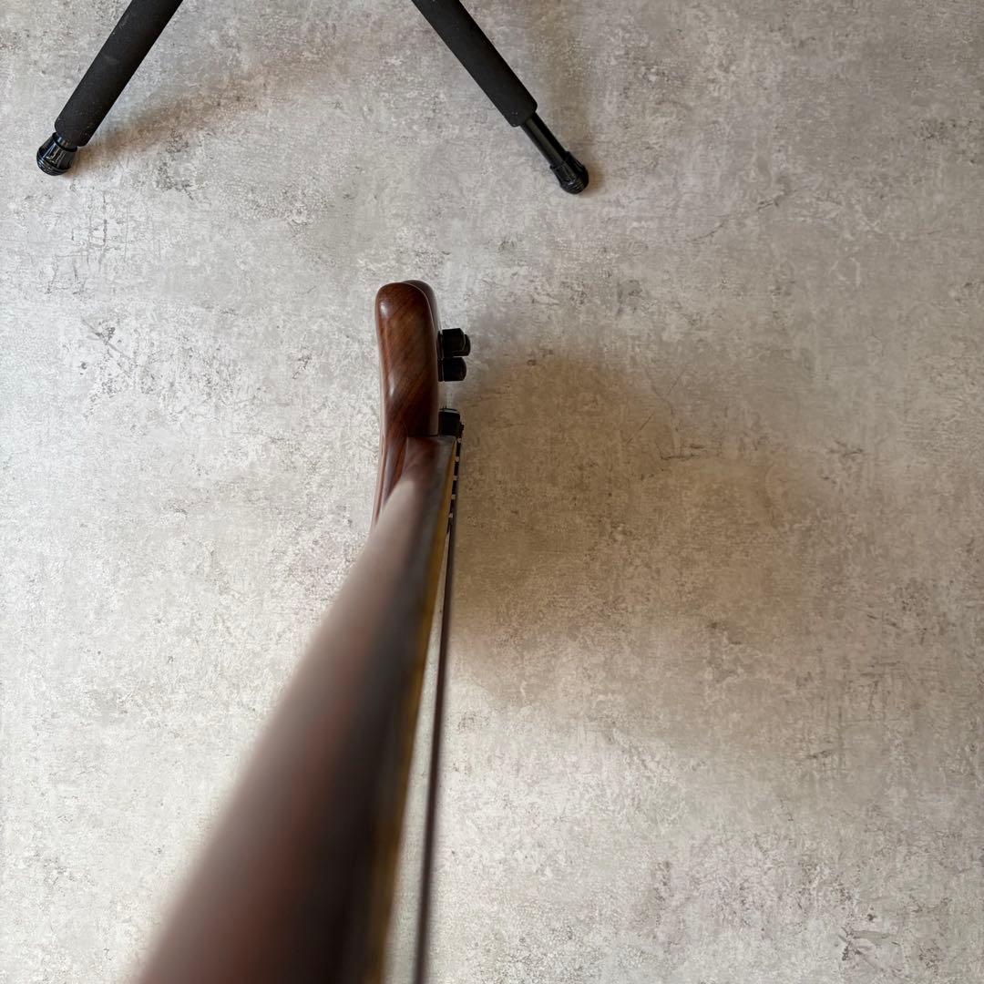 05年ドイツ製 Warwick Thumb Bass BO 6st 訳あり