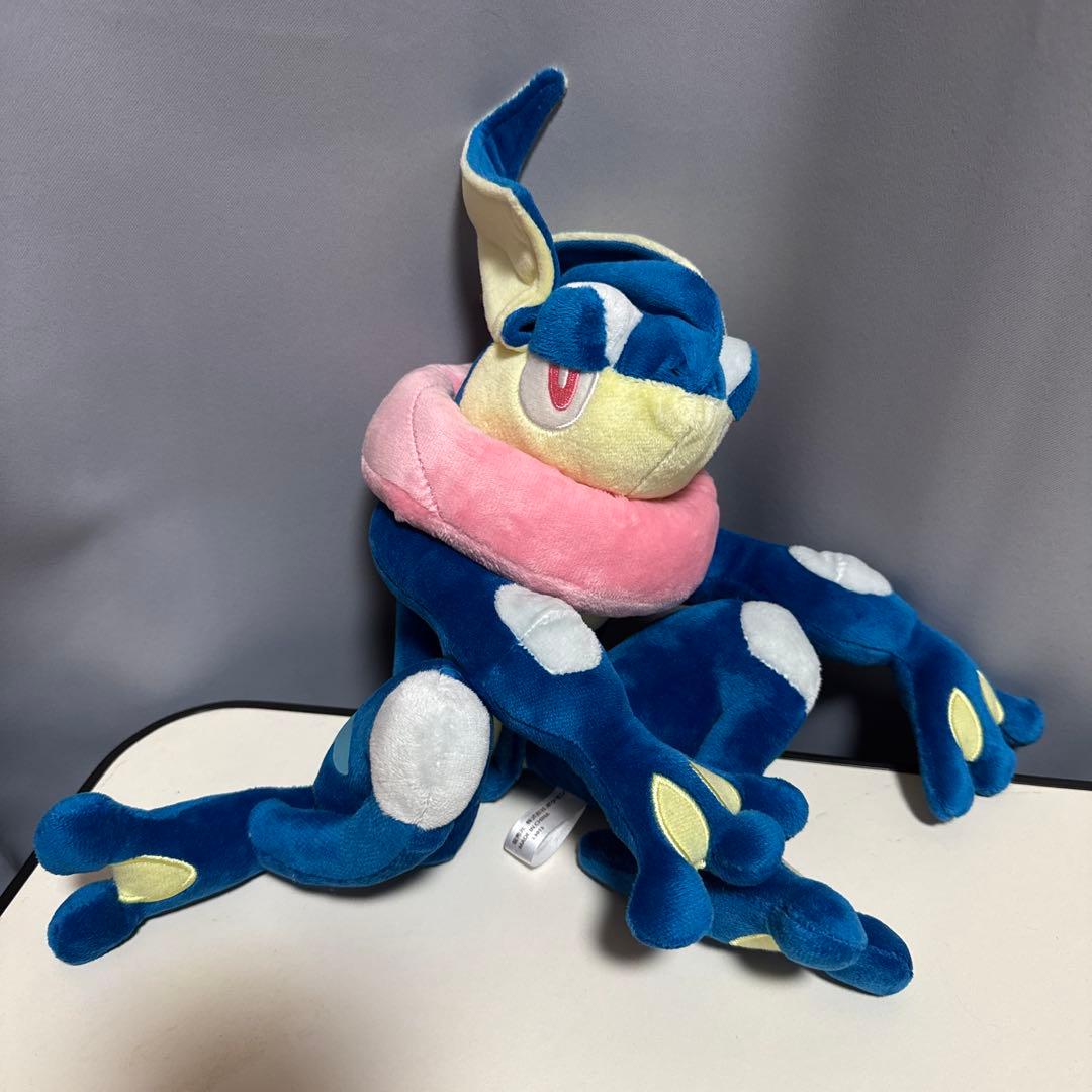 ポケモンセンター限定ぬいぐるみ　大量⭐︎XY御三家／ピカチュウなど