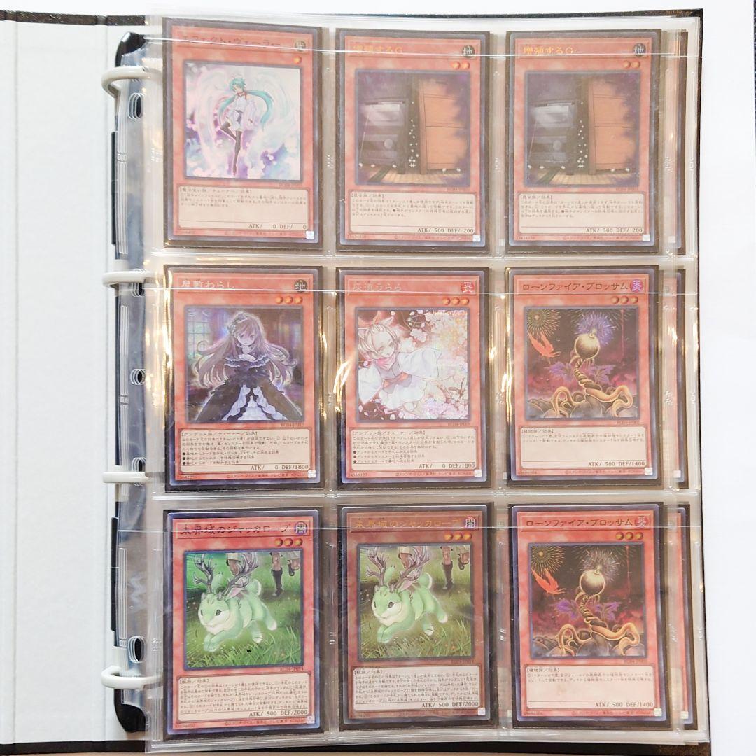 【超お買い得セット】COMPLETE FILE －白の物語－＋汎用カードファイル