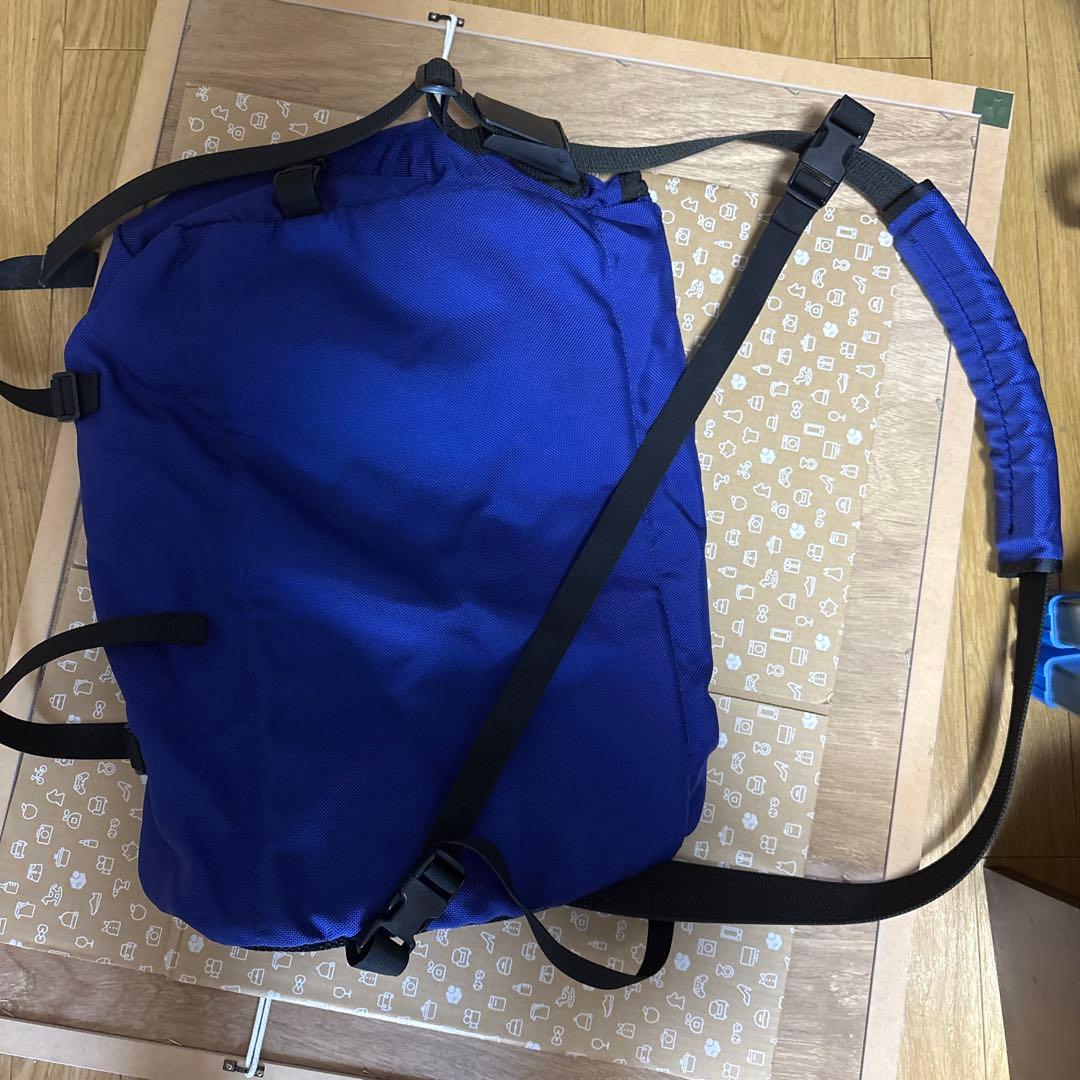 Patagonia メッセンジャーバッグ 青　USA製