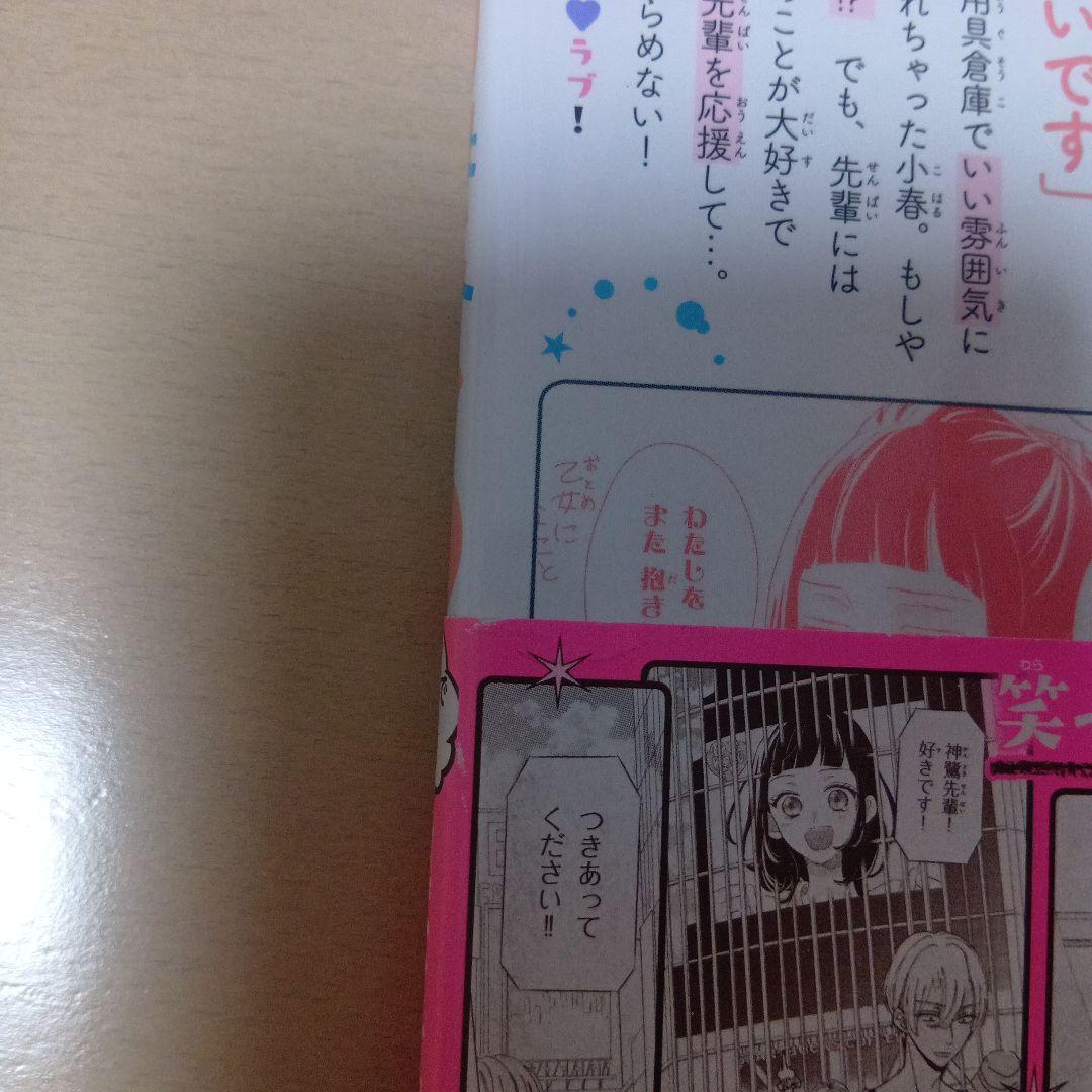 慎本真　4作品セット