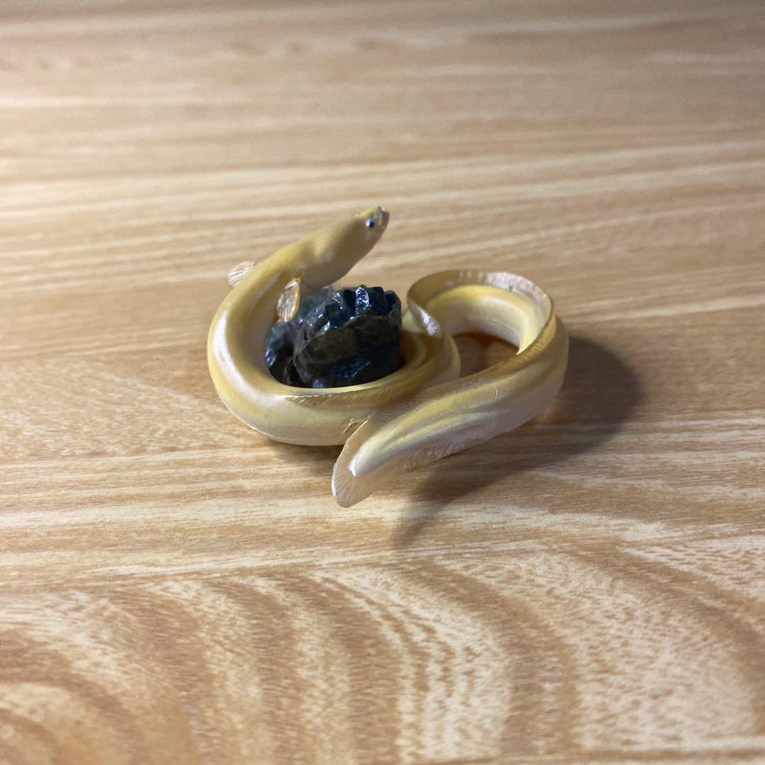 【中古】YUJIN 原色淡水魚図鑑　イワナ ウナギ　大正三色