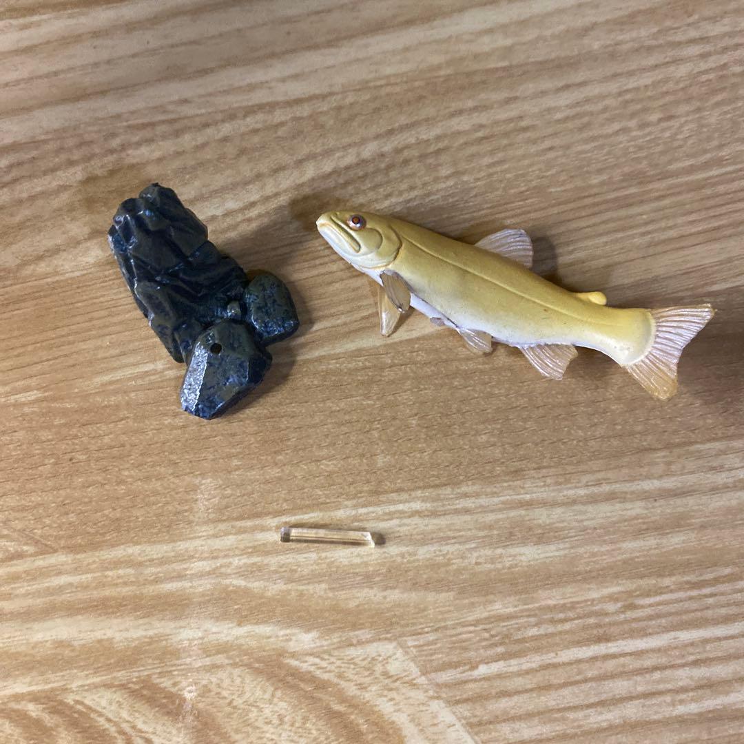 【中古】YUJIN 原色淡水魚図鑑　イワナ ウナギ　大正三色