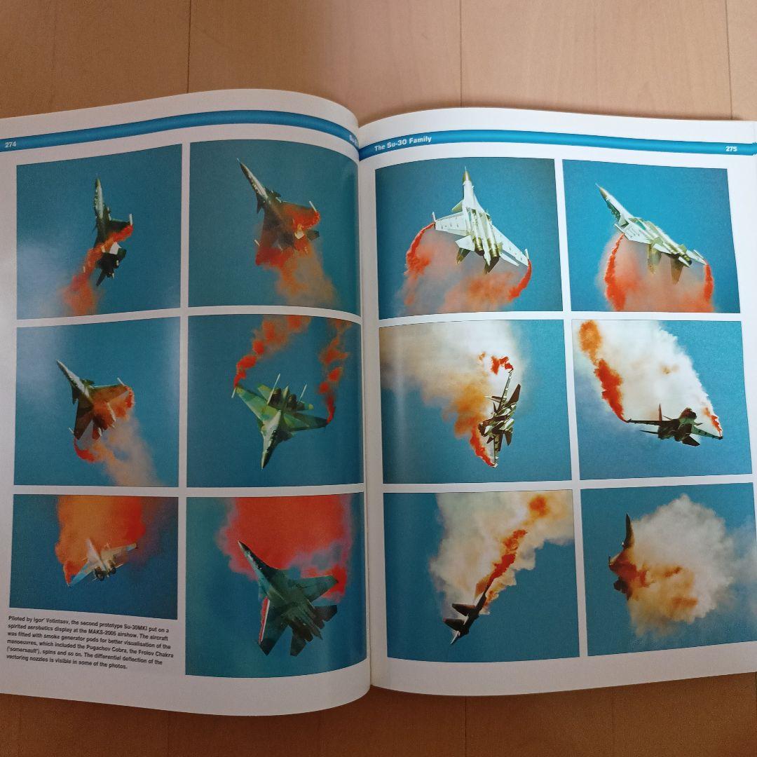 Sukhoi Su-27 スホーイ　スホイ　ロシア