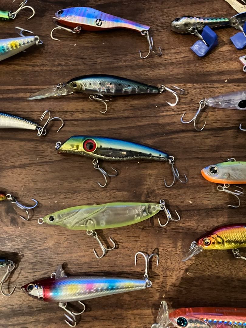 シーバスルアーまとめ売り（ルアーケース付き）